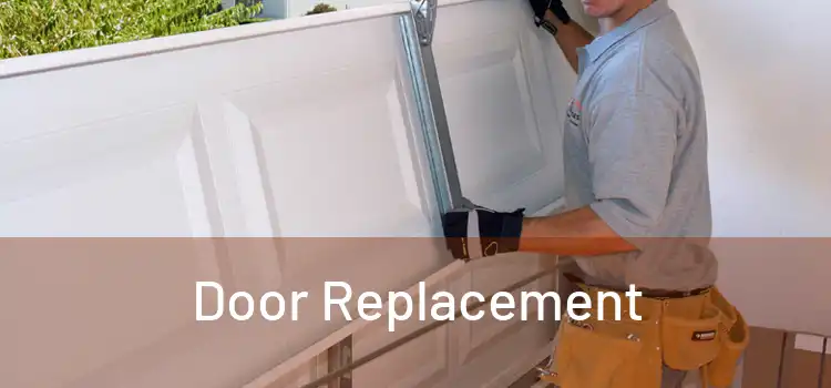  Door Replacement 